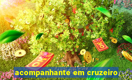 acompanhante em cruzeiro